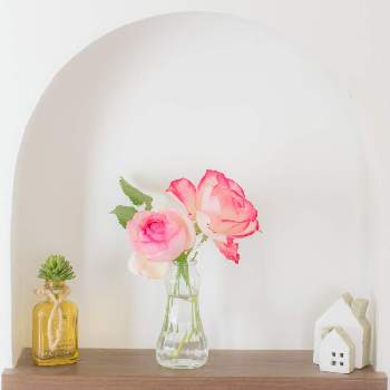 薔薇 ピエール ド ロンサール,GS映え,バラ・切り花,バラ科,ピンクの画像