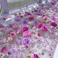 東山植物園,パープル,ピンク❤︎ピンク,(祝)青い花マニア50000pic,温室の画像