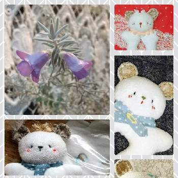 ラベンダー,ラバンディン系 グロッソ,ラベンダーバスケット,手作りの画像