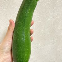 自然,家庭菜園,嬉しい,お花好き,夏野菜の画像