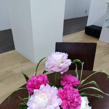 職場のいけばな,職場に花を,季節のお花,いけばな,生け花の画像