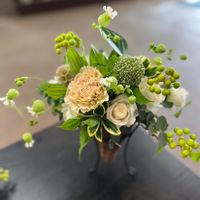 多肉植物,観葉植物,植物のある暮らし,ハンギングバスケット,ドライフラワーの画像