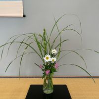 ヤバネススキ,フキアゲギク,シモツケ ,和の趣,ピンクの花の画像