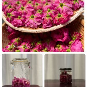 エディブルフラワー,食香バラ 豊華,いい香り,花が好き,ナチュラルスタイルの画像