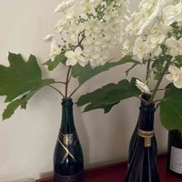 カシワバアジサイ,花のある暮らし,あじさいフォトコンテスト2023,玄関の画像