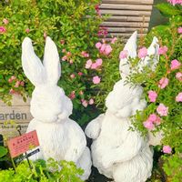 観葉植物,ばら バラ 薔薇,紫陽花 アジサイ あじさい,寄植え,鉢植えの画像