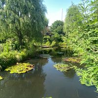 庭園,水のある風景,小さな庭の画像