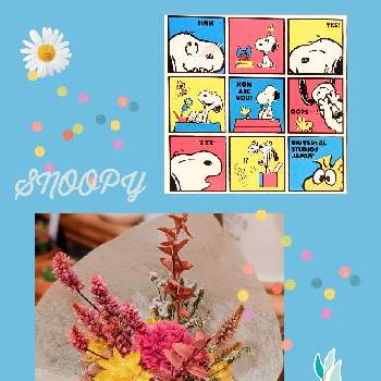 毎月2日はスヌーピーの日,スヌーピー,ドライフラワーの画像