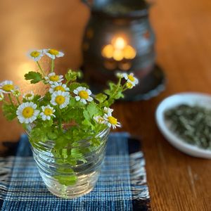 マトリカリア,ローズマリー,花を飾ろう,茶香炉,常滑焼の画像