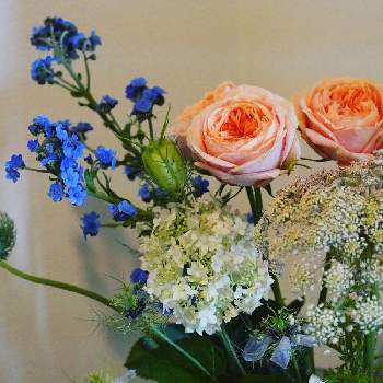 ばら バラ 薔薇,アナベル  紫陽花,こんな時こそ花を,フラワーアレンジメント,玄関の画像