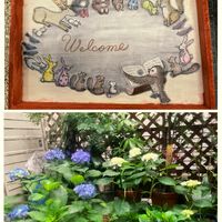 手作り,古株さん,おうちde菜園,娘からの母の日プレゼント,紫陽花♡の画像