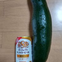 ズッキーニ,おうちde菜園,おうち園芸,はたけ,珍しい野菜の画像
