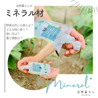自然暮らし,植物のある暮らし,自然のある暮らし,家庭菜園,おうちde菜園の画像