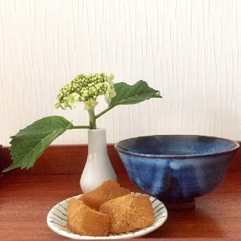 落花生,リース,節分の画像
