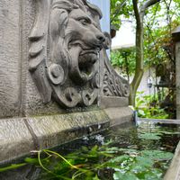 ワンダーデコール,花のある暮らし,小さな庭の画像