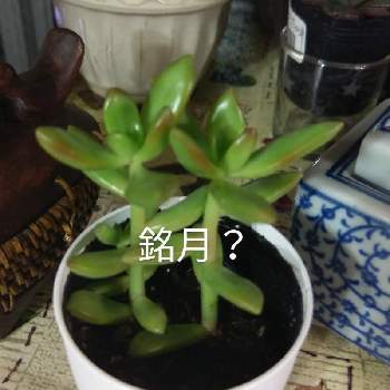 窓辺の画像