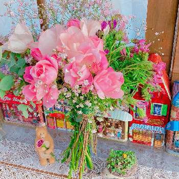 セダム属,多肉植物,ガーデン雑貨,植物と暮らす,植物のある暮らしの画像