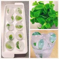 手作り,食べる葉,家庭菜園,おうちde菜園,おうち園芸の画像