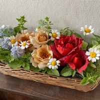 ヤマアジサイ✴︎,バラ ビターチョコレート,ディル,オレガノ,ノースポールの画像
