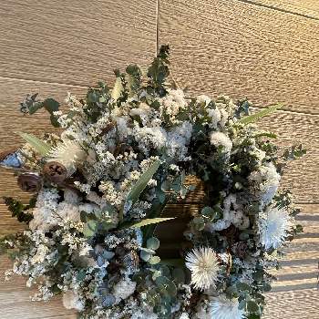 ユーカリ,爽やかな香り,リース,今日のお花,札幌の画像