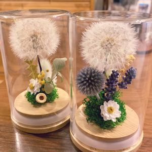 ラベンダー,ルリタマアザミ,花かんざし,ミモザ,タンポポの綿毛の画像