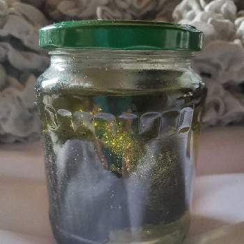二価鉄液(植物成長剤),肥料,部屋の画像