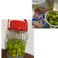 ウメ,自家製梅酒,熊本,熊本から,主人作の画像