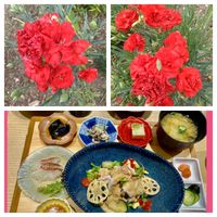 象印ランチ,カーネーション,真っ赤な火曜日,ピーターのママさん頑張っての画像