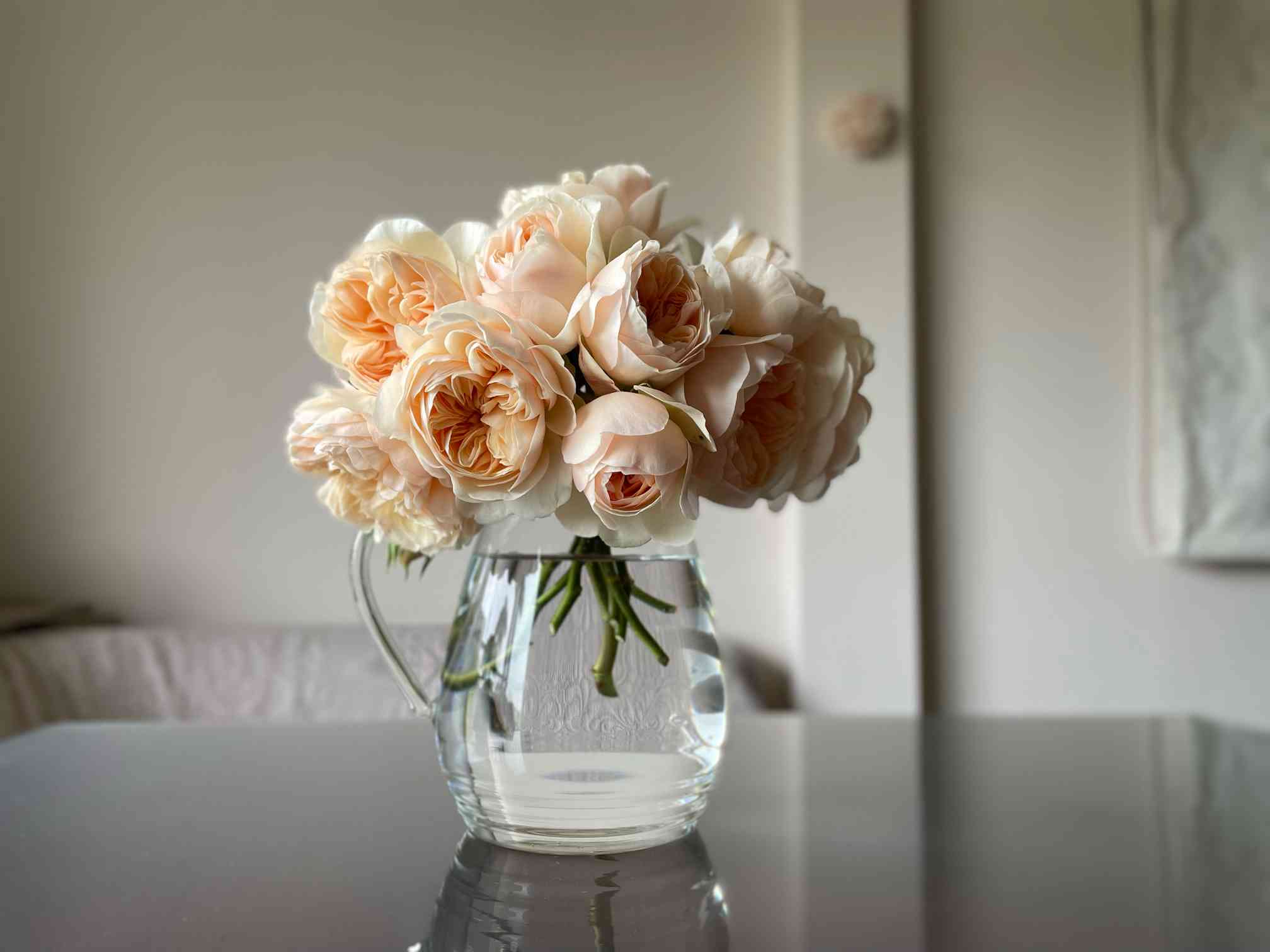 我が家の庭の薔薇と一緒に似合う☘️宿根草と挿し木枝とハーブ 我が家の庭の薔薇と一緒に似合う☘️宿根草と挿し木枝とハーブ