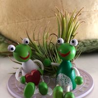 チランジア,カエル仲間,お花さんに感謝,新潟県,GS皆様ありがとうの画像