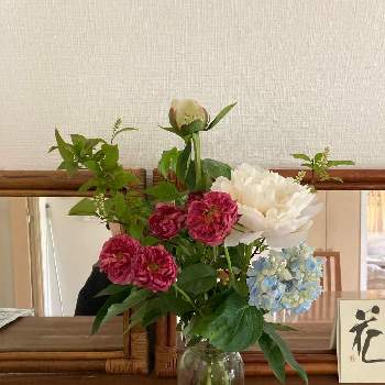 棚の画像