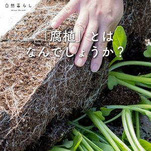 ガーデニング,植物のある暮らし,肥料,プランター栽培,ベランダ菜園の画像