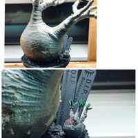 ドライガーデン,福岡,観葉植物,北九州市,ロックガーデンの画像