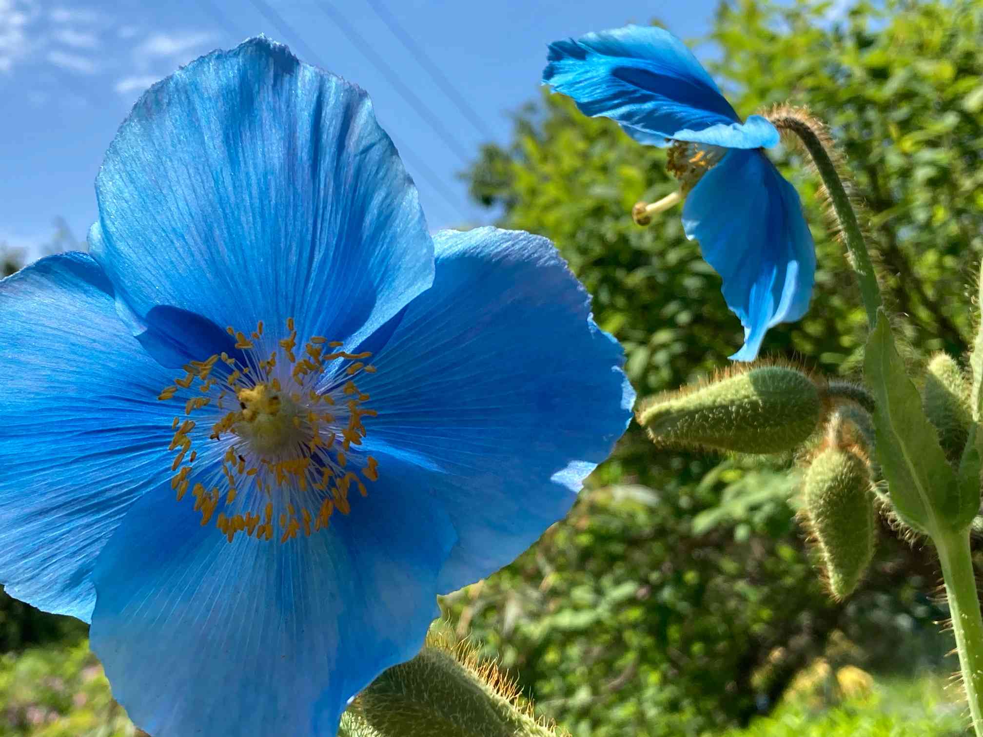 1686152881604_224332_photo.jpg 1686152881604_224332_photo.jpg