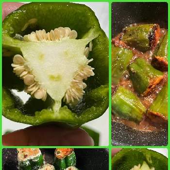 ピーマン,キッチンの画像