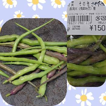 キッチンの画像