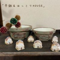 ドライフラワー,ドライフラワーのある暮らし,癒し,多肉のある暮らし,かおりんのモルタルの画像