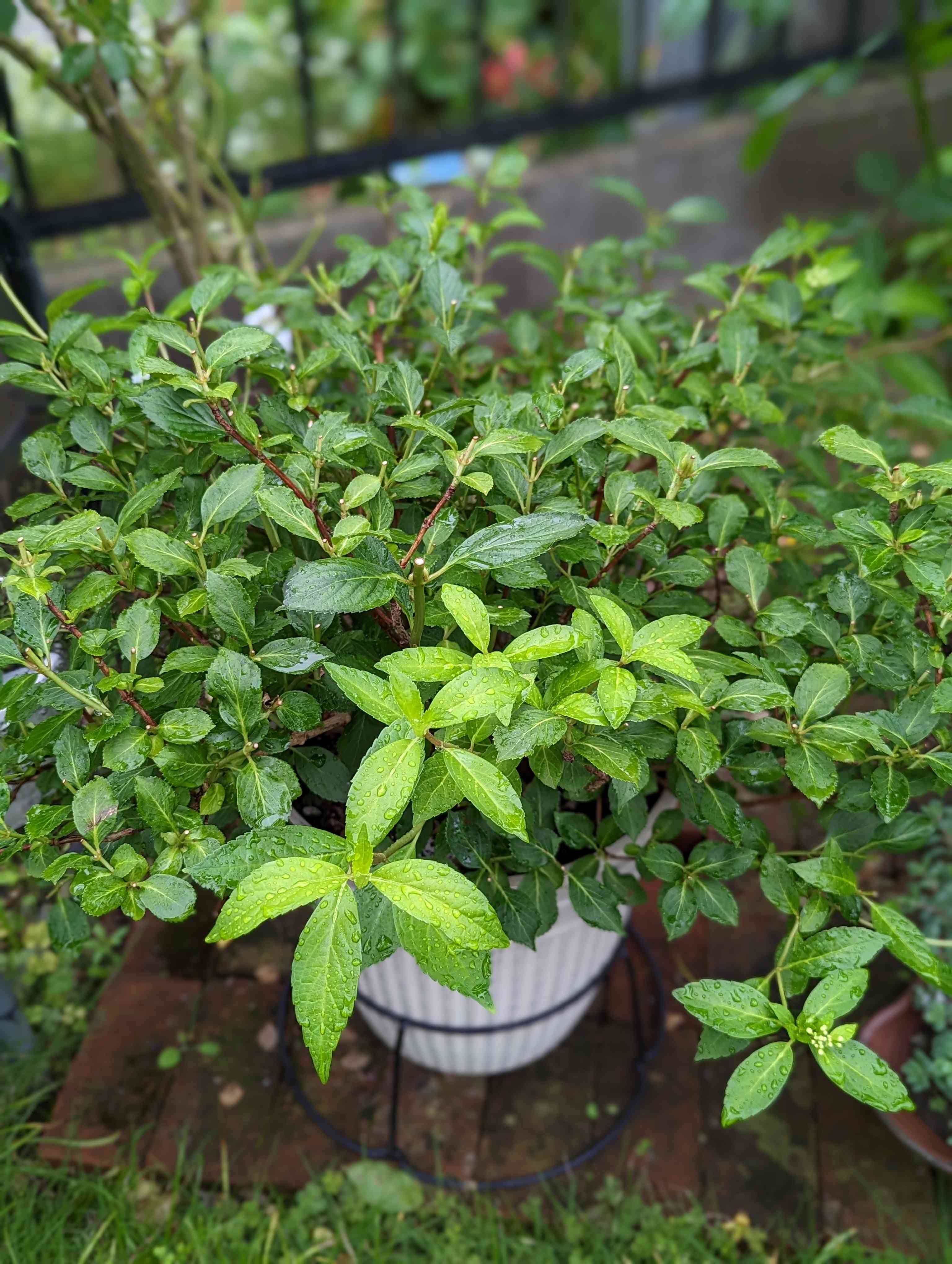 1686347563673_819317_20230610_