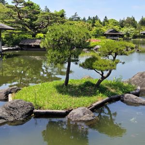 日本庭園,面白い,遊び心,青空,植栽の画像