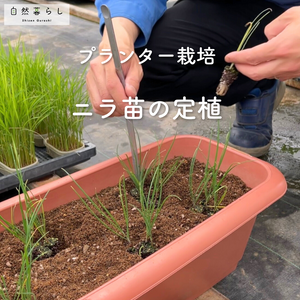 植物のある暮らし,肥料,プランター栽培,ベランダ菜園,露地栽培の画像