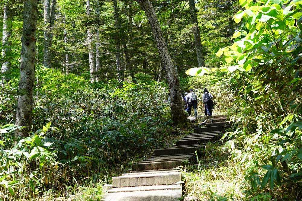 初夏の大江湿原と尾瀬沼｜🍀GreenSnap（グリーンスナップ）