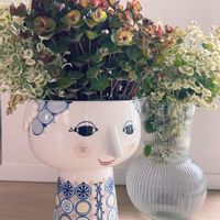 ユーフォルビア ブラックバード,ユーフォルビアシルバースワン,ふわふわ,お気に入りの花瓶,ドライフラワーの画像