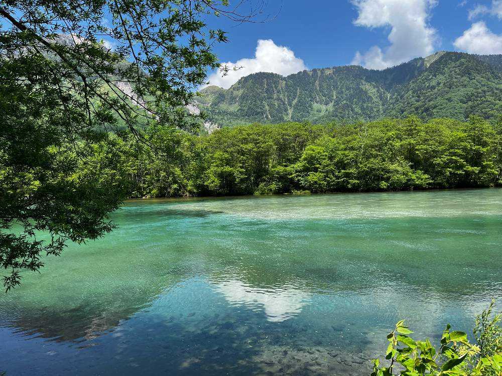  Foto zu 梅雨の晴れ間に上高地へ 白い花集めました〜｜🍀GreenSnap（グリーンスナップ） 