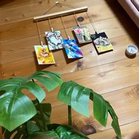 モンステラ,手作り,モンステラ属,観葉植物,ダイソーの画像