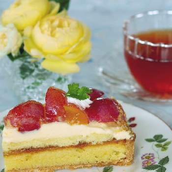 つるバラ,バラを楽しむ,marrieのまとめ,marrieバラ,2021 GSでバラ園の画像