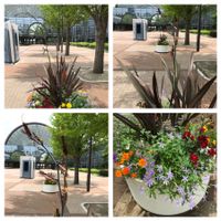 ニューサイラン,インテックス大阪の画像