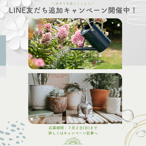 ガーデニング,植物のある暮らし,肥料,プランター栽培,ベランダ菜園の画像