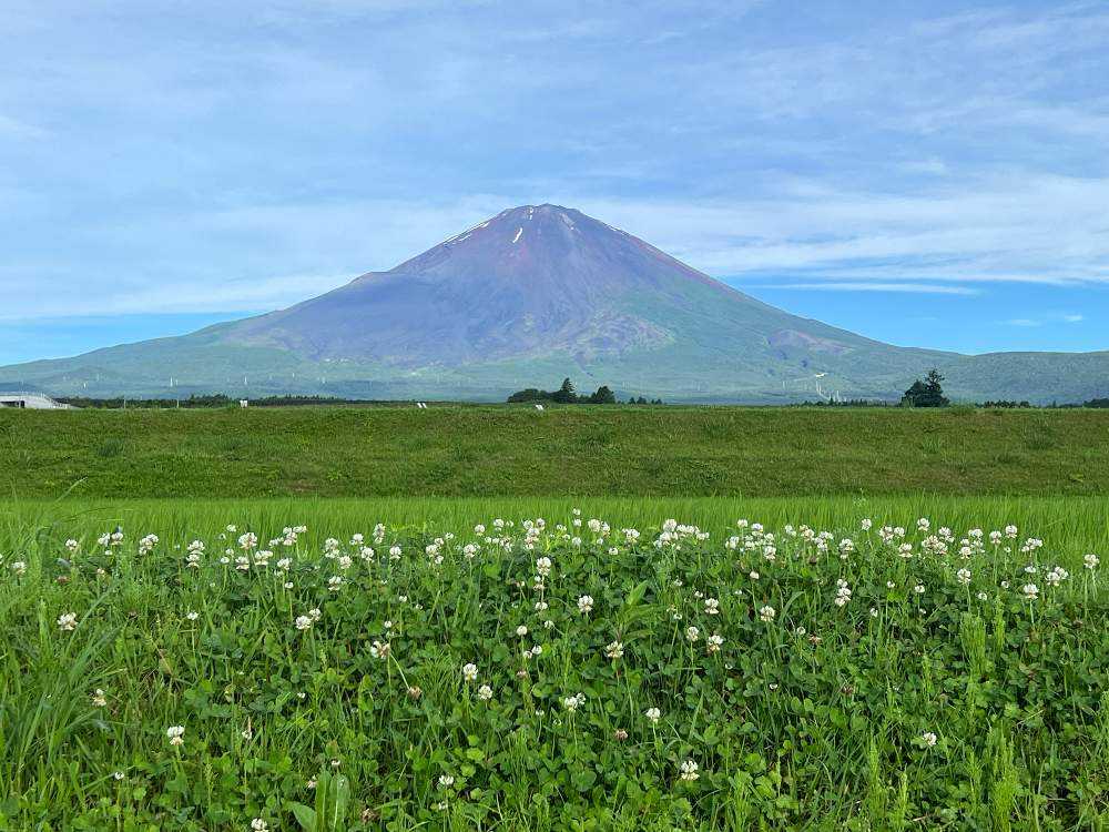 7月の富士山と麓の景色 更新しました｜ GreenSnap（グリーンスナップ）