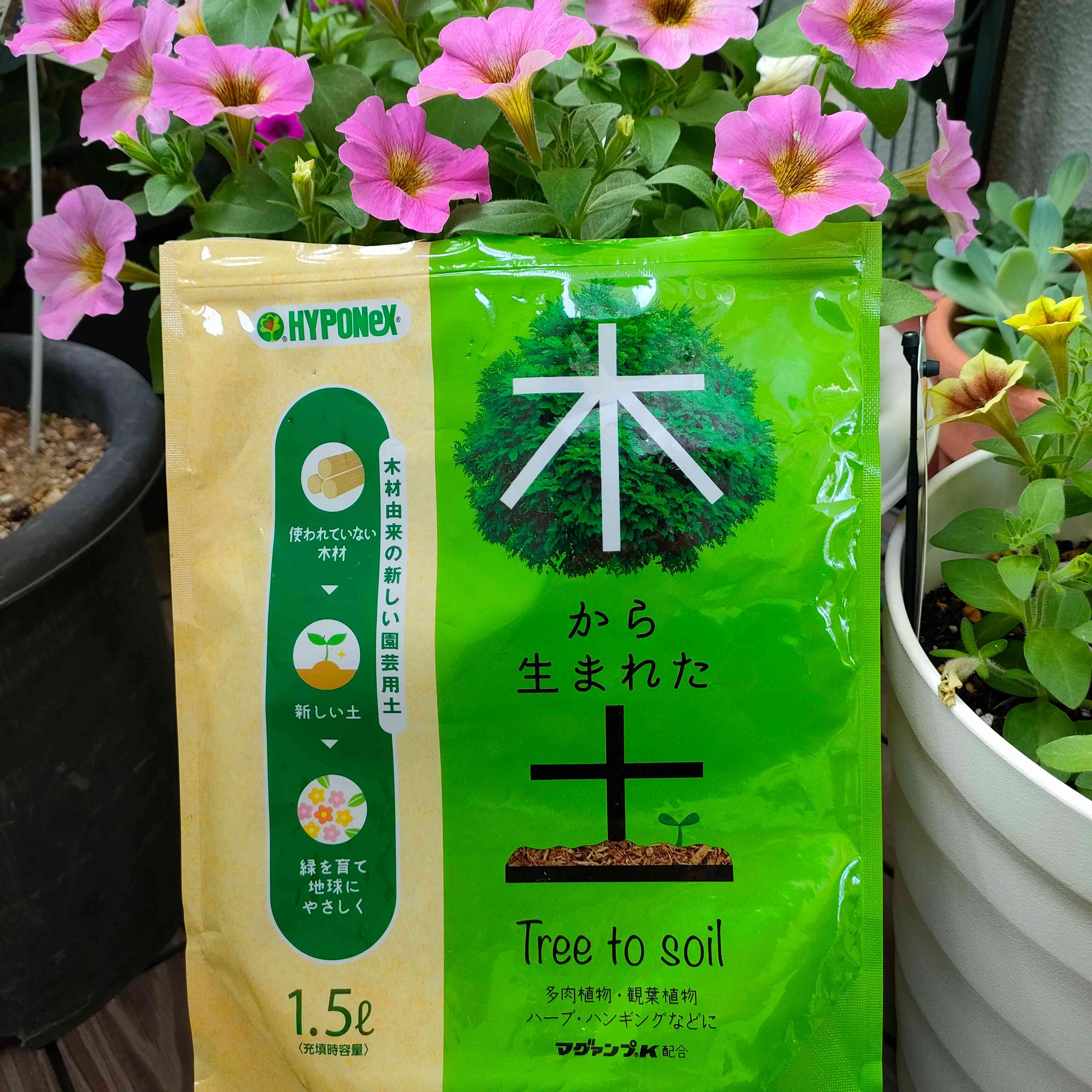 木から生まれた土」で多肉植物を育てます🫡｜🍀GreenSnap（グリーン