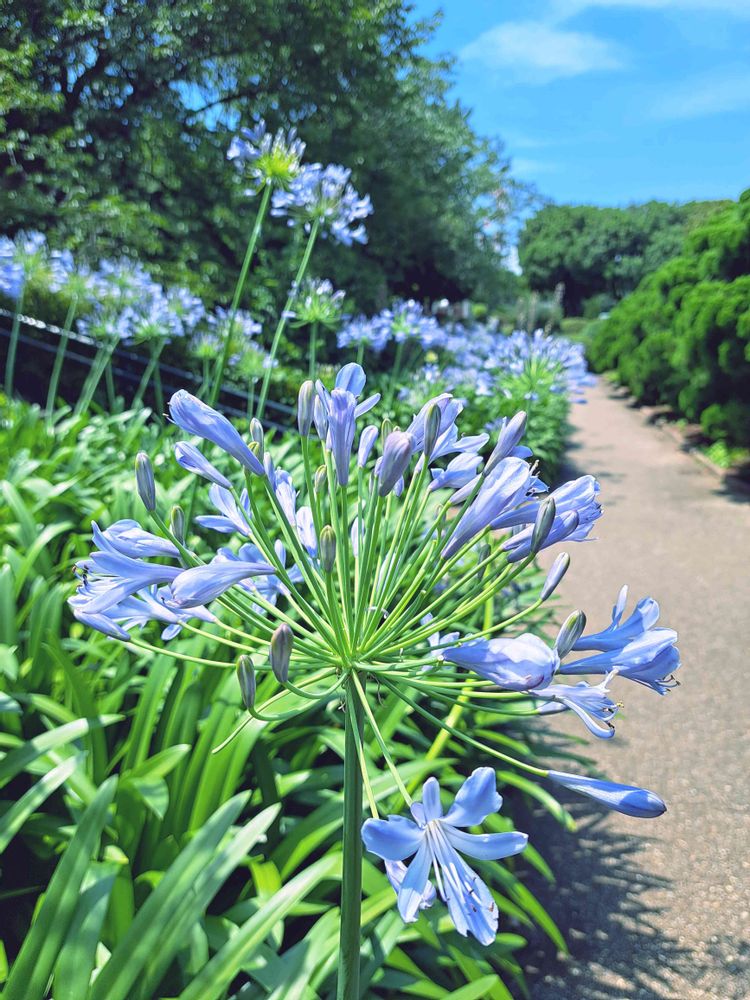 エリィさんの港の見える丘公園への投稿